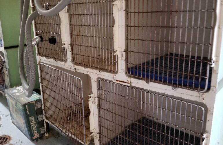 Auctions image thumbnails