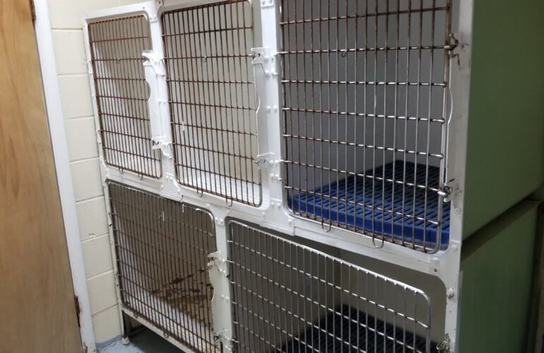 Auctions image thumbnails