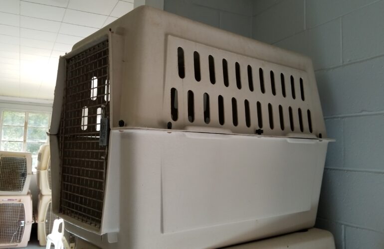 Auctions image thumbnails