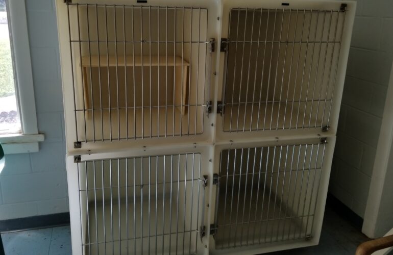 Auctions image thumbnails