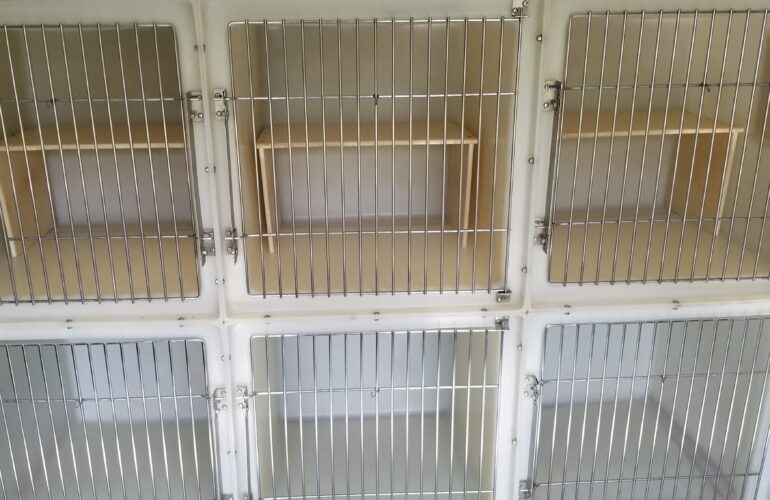 Auctions image thumbnails