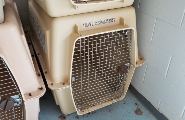 Auctions image thumbnails