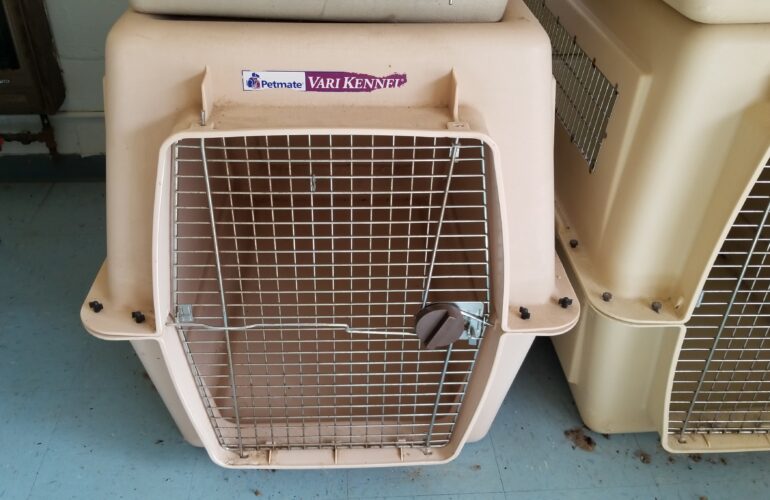 Auctions image thumbnails