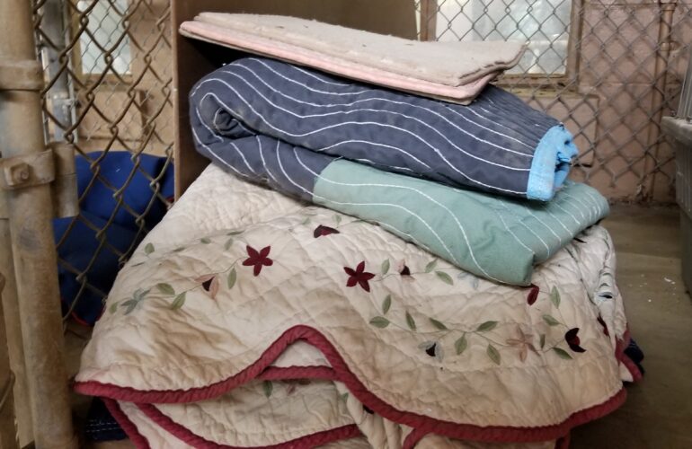 Auctions image thumbnails