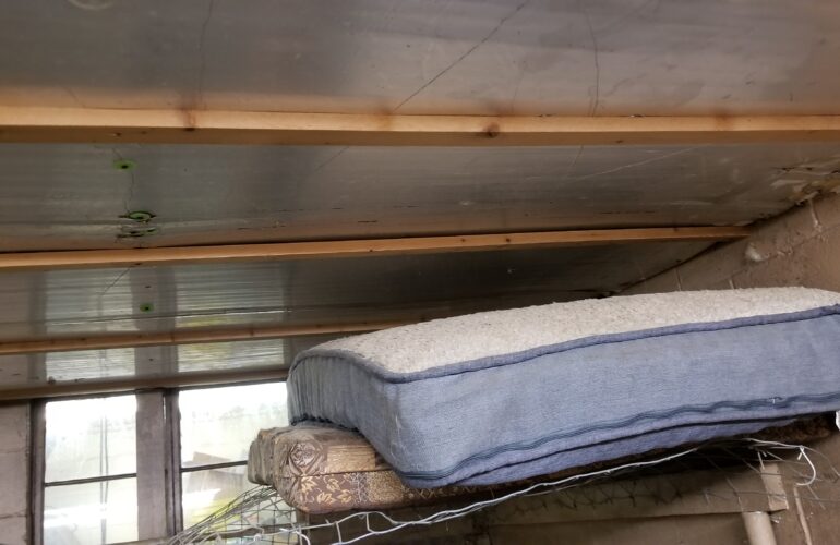 Auctions image thumbnails