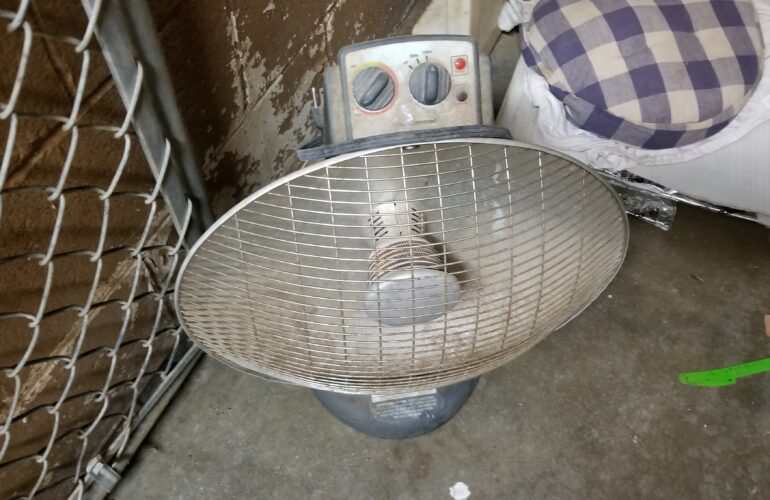 Auctions image thumbnails