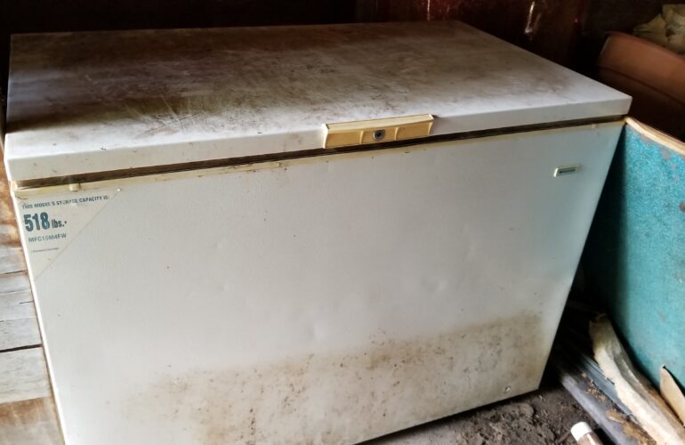 Auctions image thumbnails