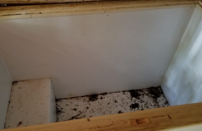 Auctions image thumbnails