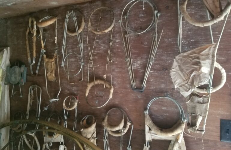 Auctions image thumbnails