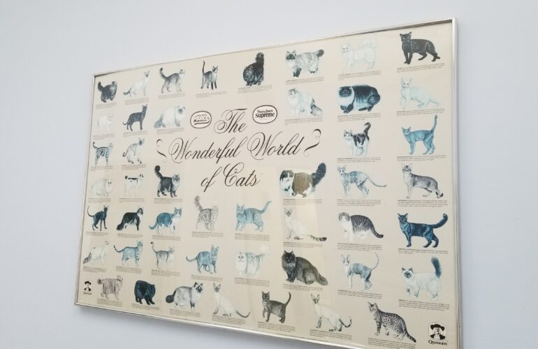 Auctions image thumbnails