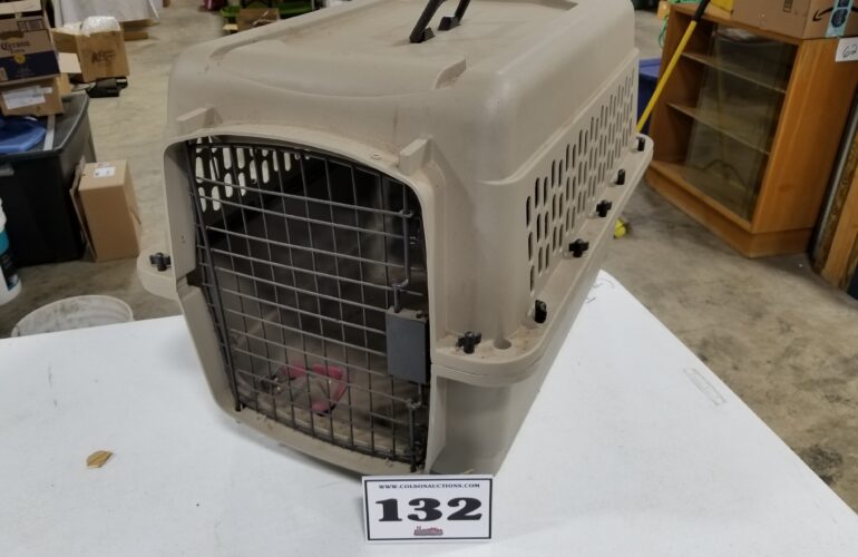 Auctions image thumbnails