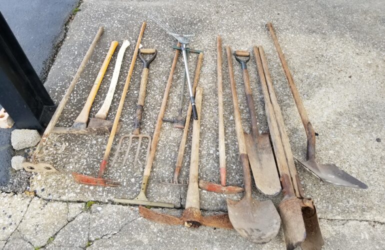 Auctions image thumbnails