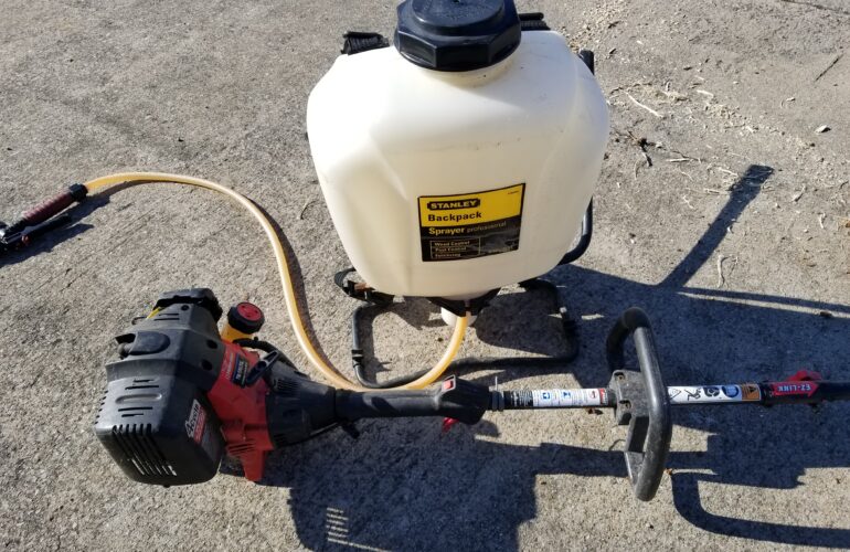 Auctions image thumbnails