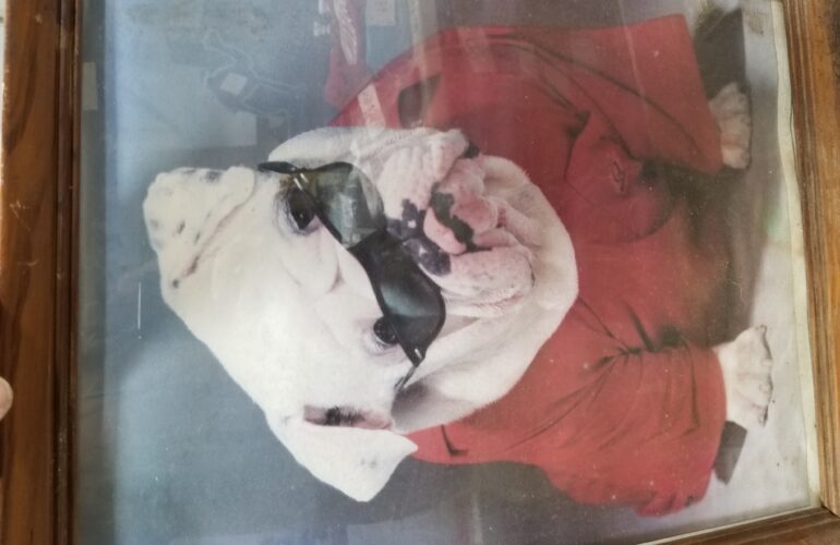 Auctions image thumbnails