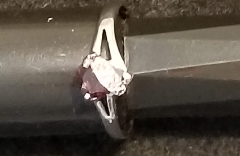 Auctions image thumbnails