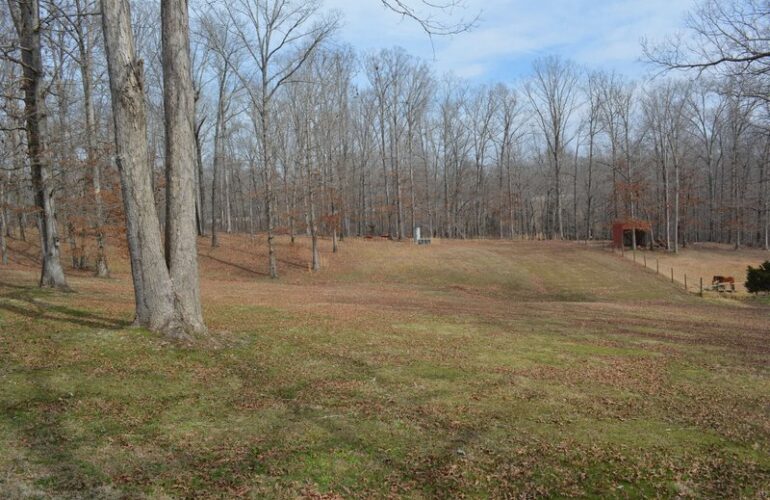 Auctions image thumbnails