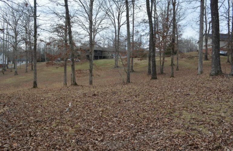 Auctions image thumbnails