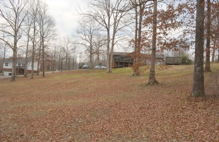 Auctions image thumbnails