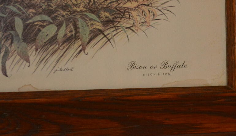 Auctions image thumbnails