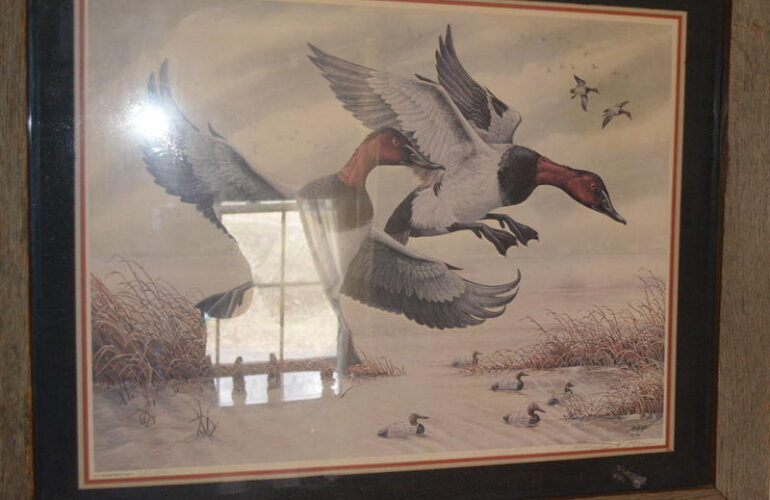 Auctions image thumbnails