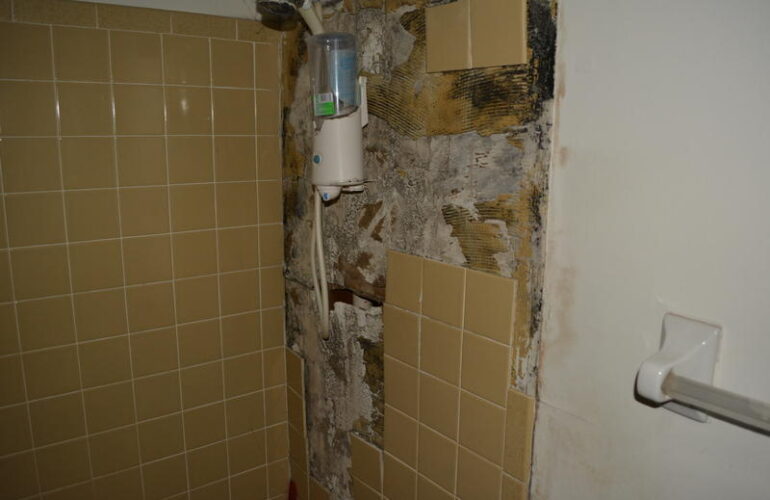 Auctions image thumbnails