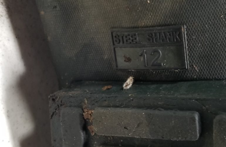 Auctions image thumbnails