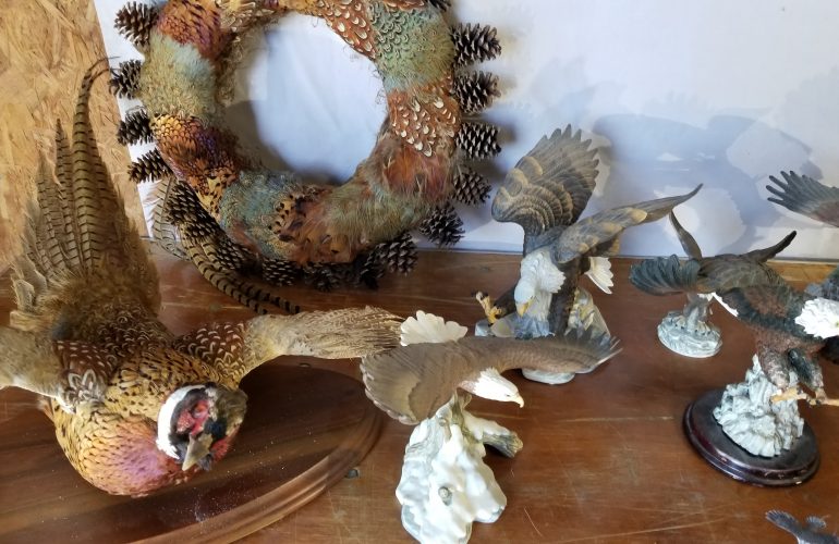 Auctions image thumbnails