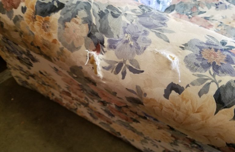 Auctions image thumbnails