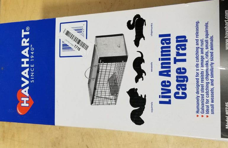 Auctions image thumbnails