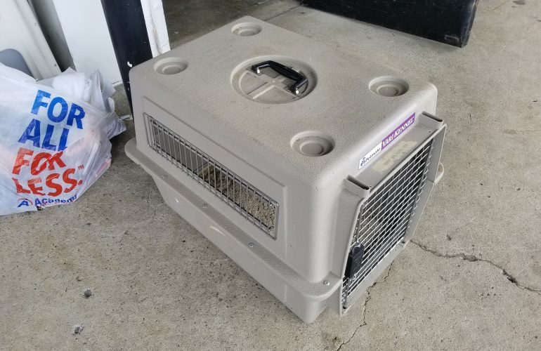 Auctions image thumbnails