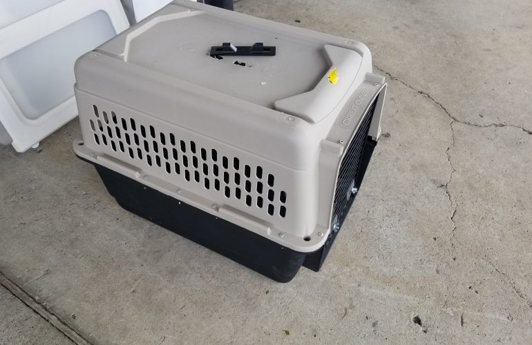 Auctions image thumbnails