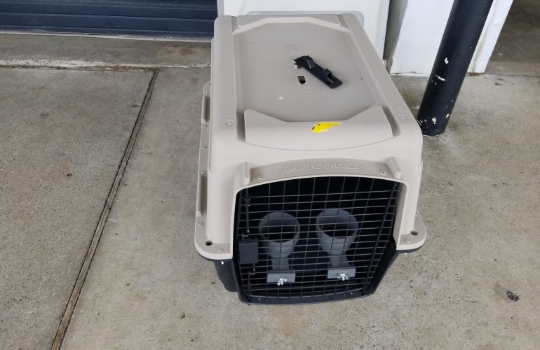 Auctions image thumbnails