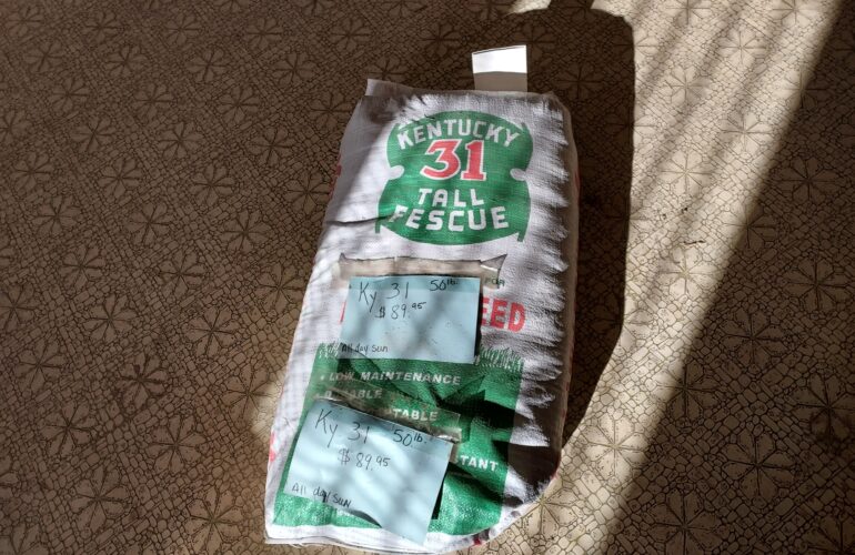 Auctions image thumbnails