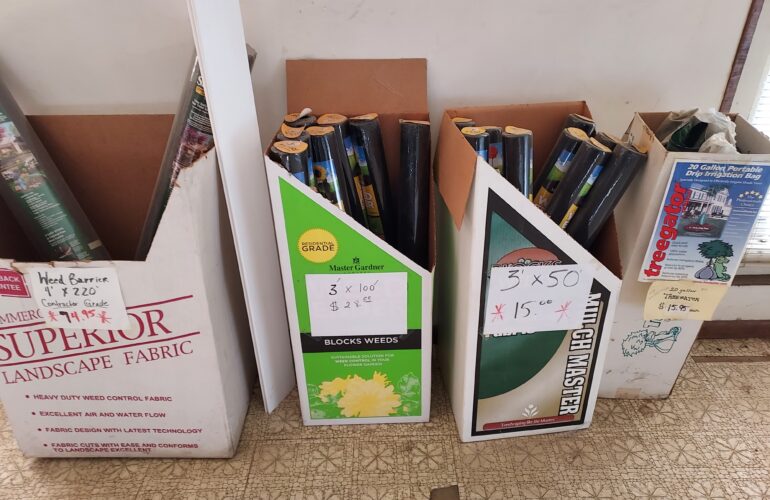 Auctions image thumbnails