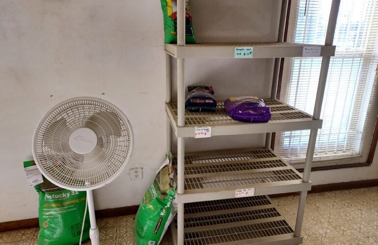 Auctions image thumbnails