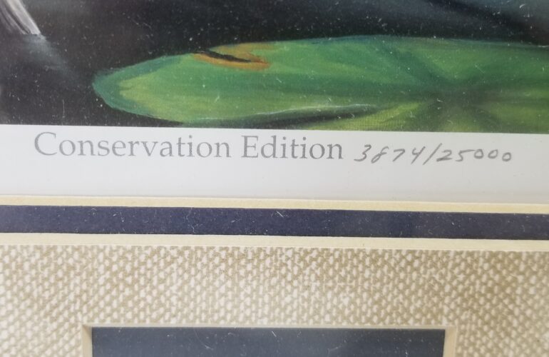 Auctions image thumbnails