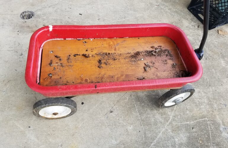 Auctions image thumbnails