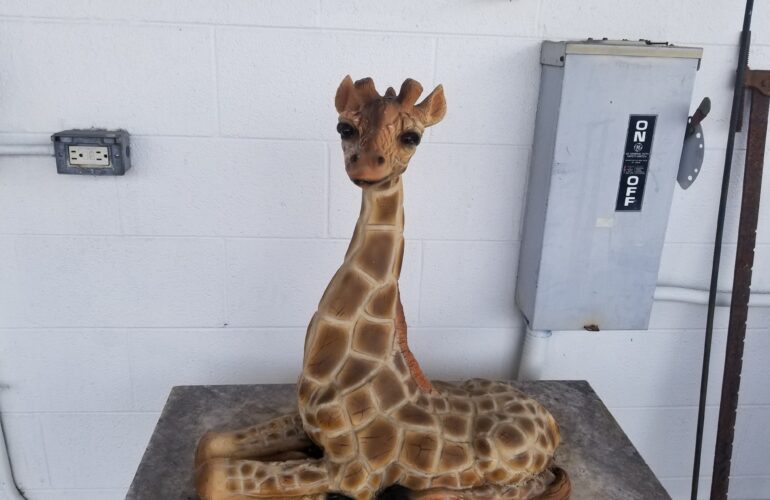 Auctions image thumbnails