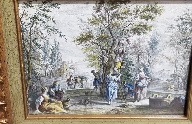 Auctions image thumbnails