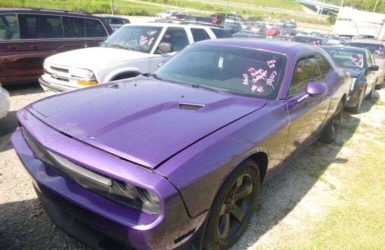 Auctions image thumbnails