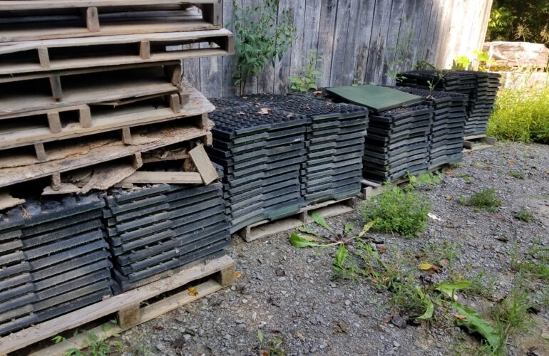 Auctions image thumbnails