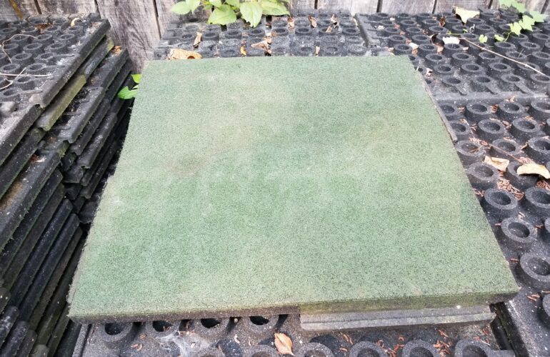 Auctions image thumbnails