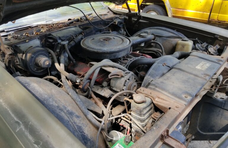 Auctions image thumbnails