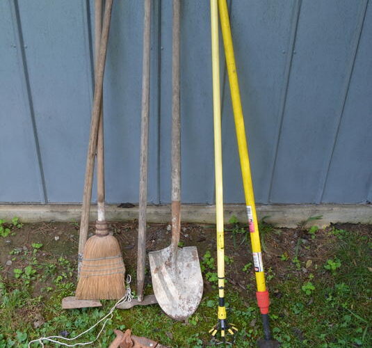 Auctions image thumbnails