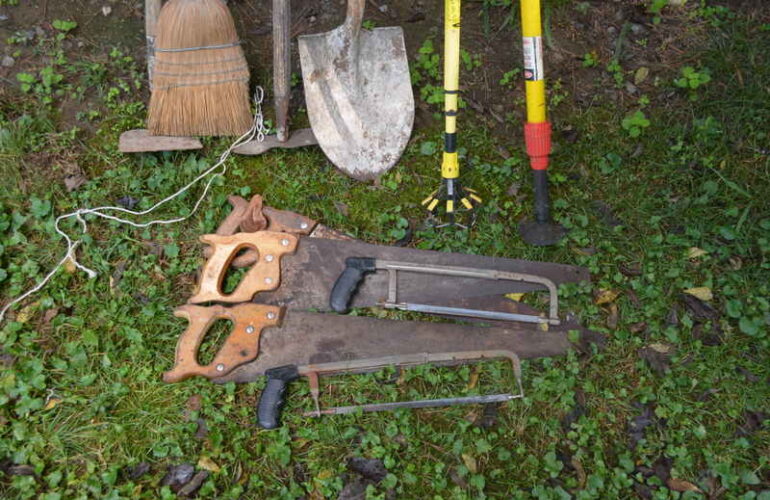 Auctions image thumbnails