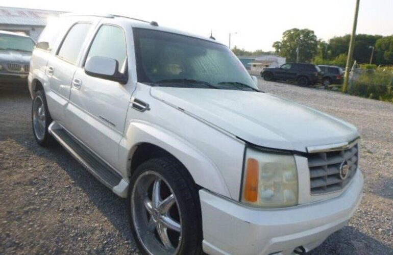 Auctions image thumbnails