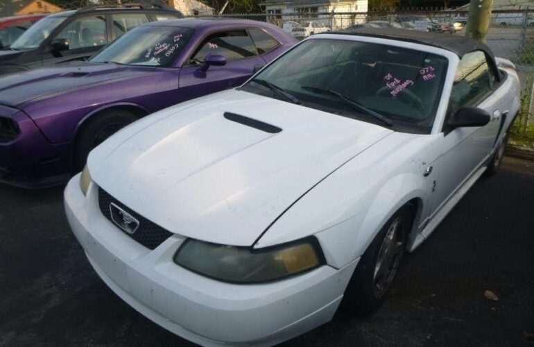 Auctions image thumbnails