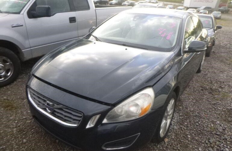 Auctions image thumbnails