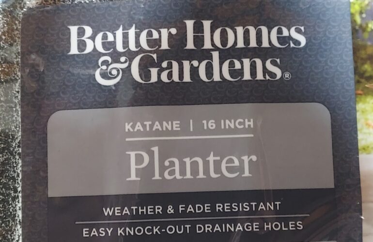 Auctions image thumbnails