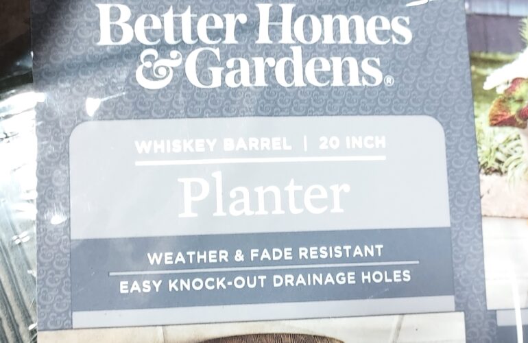 Auctions image thumbnails